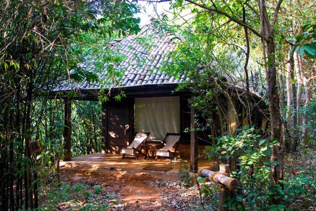 forest cottage wildernest