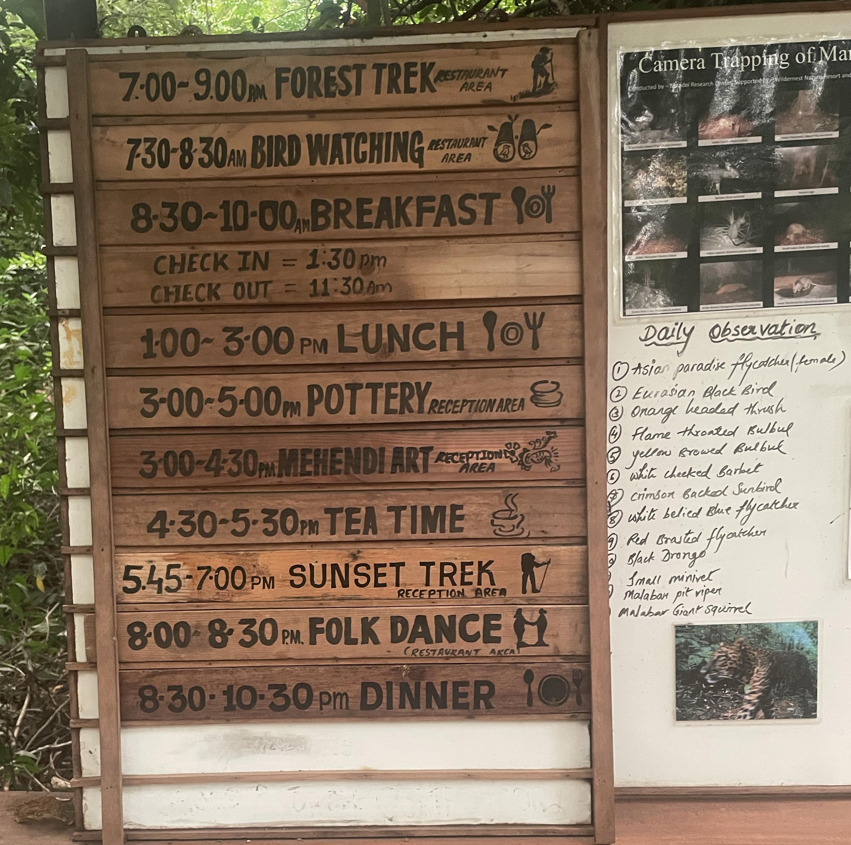 wildernest program