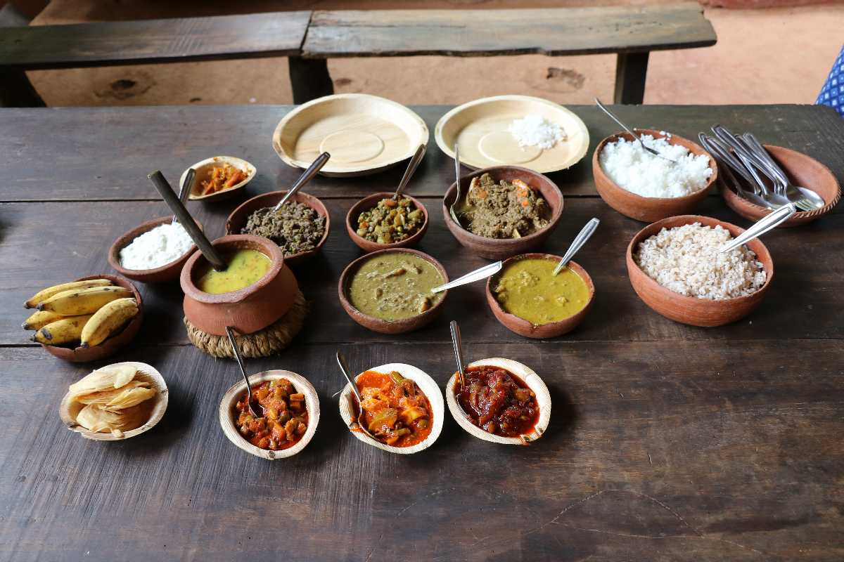spice plantation goa